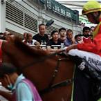 how to bet horse racing singapore