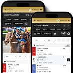 online bet horse racing